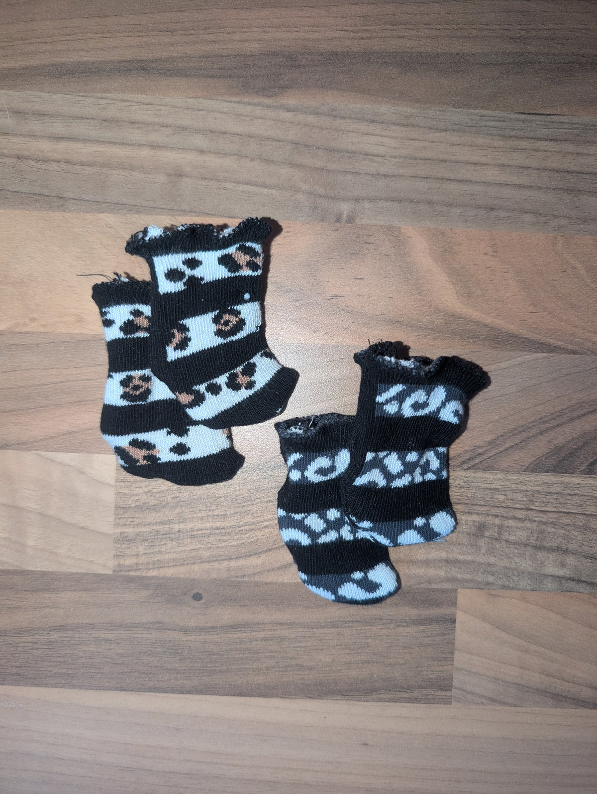 Animal print ankle socks
